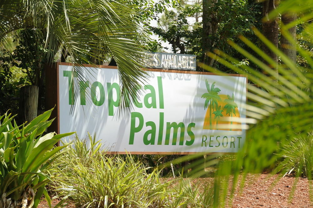 Tropical Palms Resort Celebration Exteriör bild